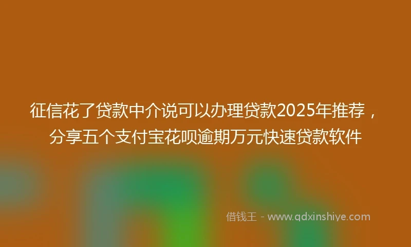征信花了贷款中介说可以办理贷款2025年推荐，分享五个支付宝花呗逾期万元快速贷款软件