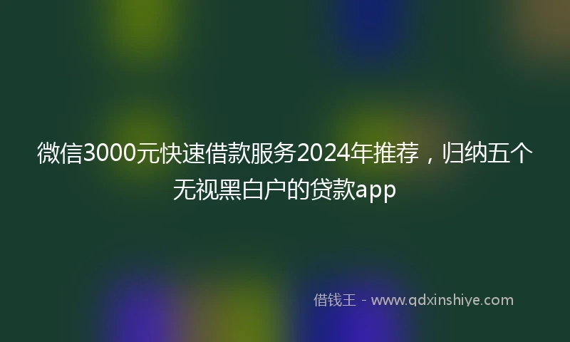 微信3000元快速借款服务2024年推荐，归纳五个无视黑白户的贷款app