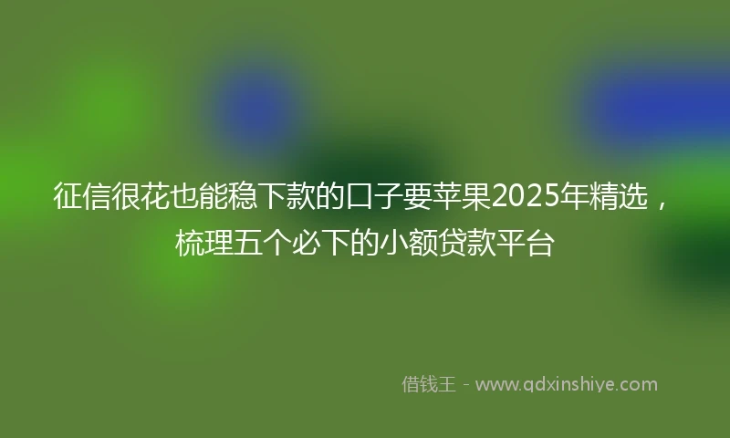 征信很花也能稳下款的口子要苹果2025年精选，梳理五个必下的小额贷款平台