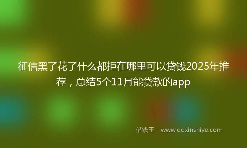 征信黑了花了什么都拒在哪里可以贷钱2025年推荐,总结5个11月能贷款的app
