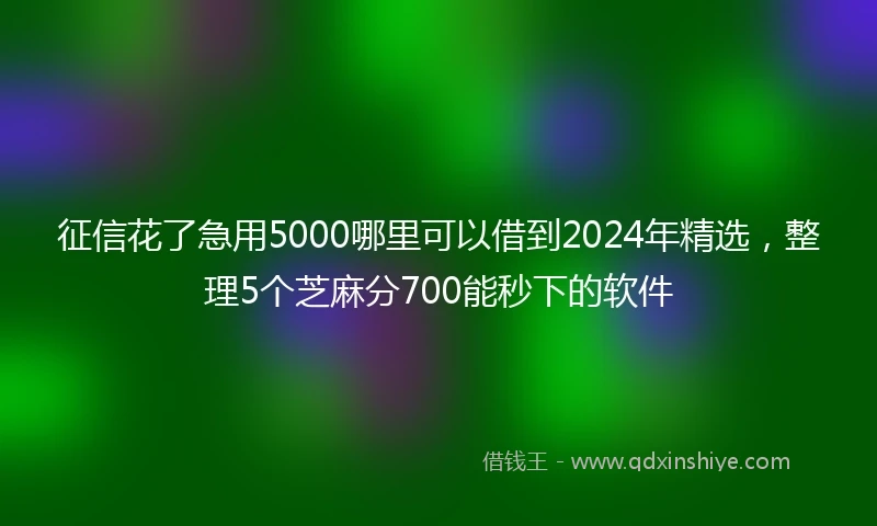 征信花了急用5000哪里可以借到2024年精选，整理5个芝麻分700能秒下的软件