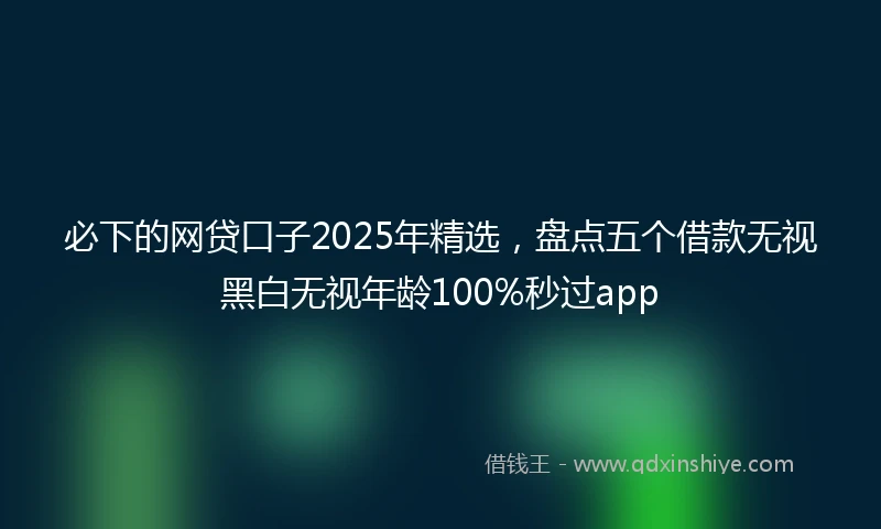 必下的网贷口子2025年精选，盘点五个借款无视黑白无视年龄100%秒过app
