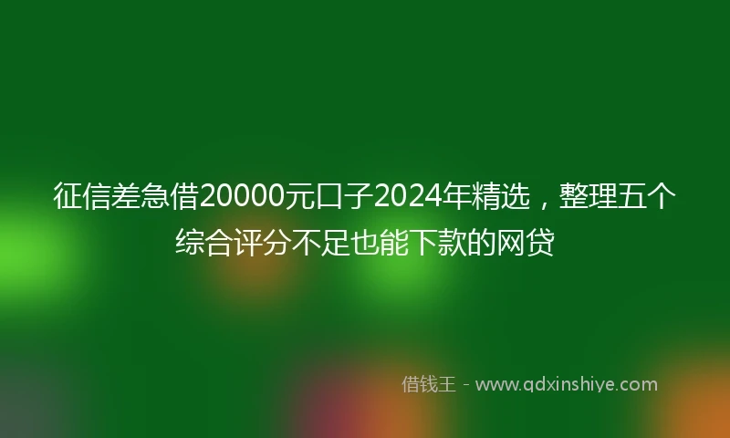 征信差急借20000元口子2024年精选，整理五个综合评分不足也能下款的网贷