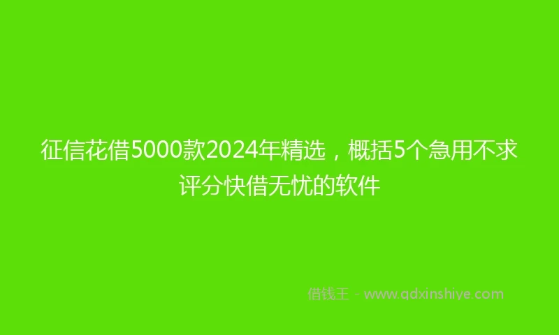 征信花借5000款2024年精选，概括5个急用不求评分快借无忧的软件