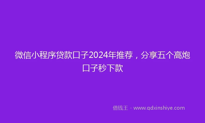 微信小程序贷款口子2024年推荐，分享五个高炮口子秒下款