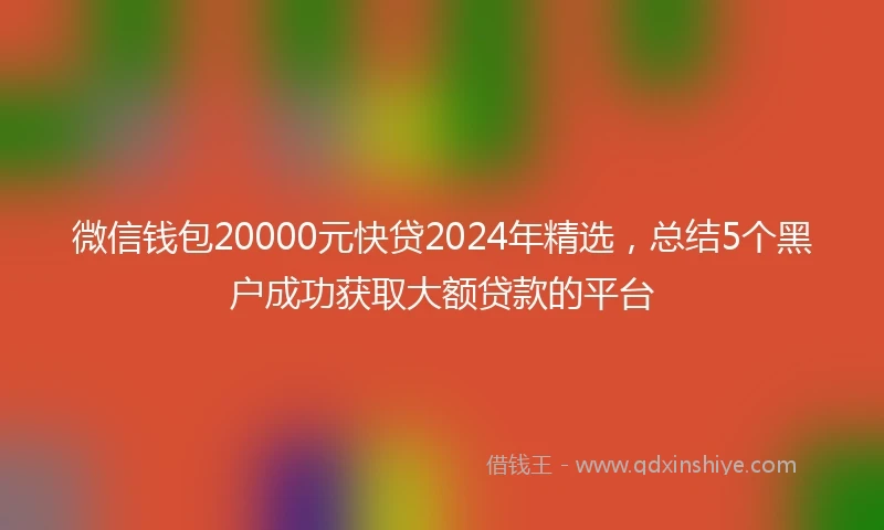 微信钱包20000元快贷2024年精选，总结5个黑户成功获取大额贷款的平台