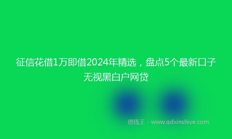 征信花借1万即借2024年精选，盘点5个最新口子无视黑白户网贷