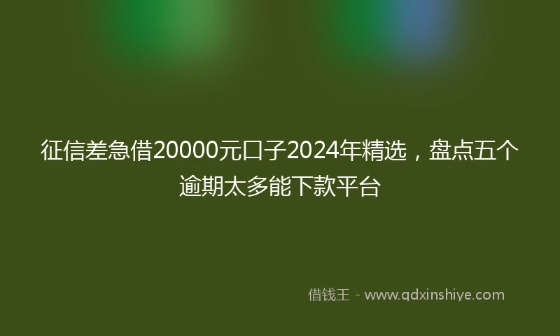 征信差急借20000元口子2024年精选，盘点五个逾期太多能下款平台