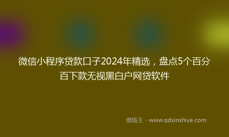 微信小程序贷款口子2024年精选，盘点5个百分百下款无视黑白户网贷软件