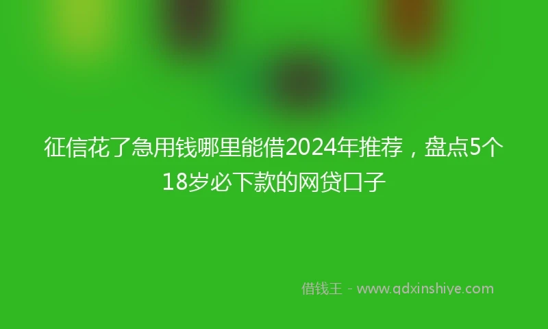 征信花了急用钱哪里能借2024年推荐，盘点5个18岁必下款的网贷口子