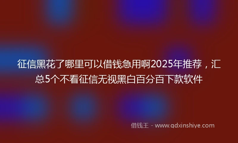 征信黑花了哪里可以借钱急用啊2025年推荐，汇总5个不看征信无视黑白百分百下款软件