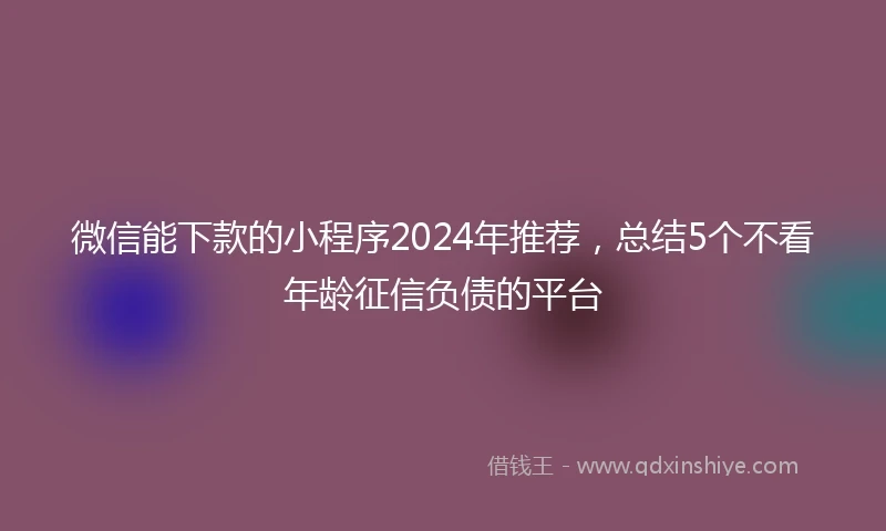 微信能下款的小程序2024年推荐，总结5个不看年龄征信负债的平台