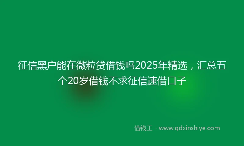 征信黑户能在微粒贷借钱吗2025年精选，汇总五个20岁借钱不求征信速借口子