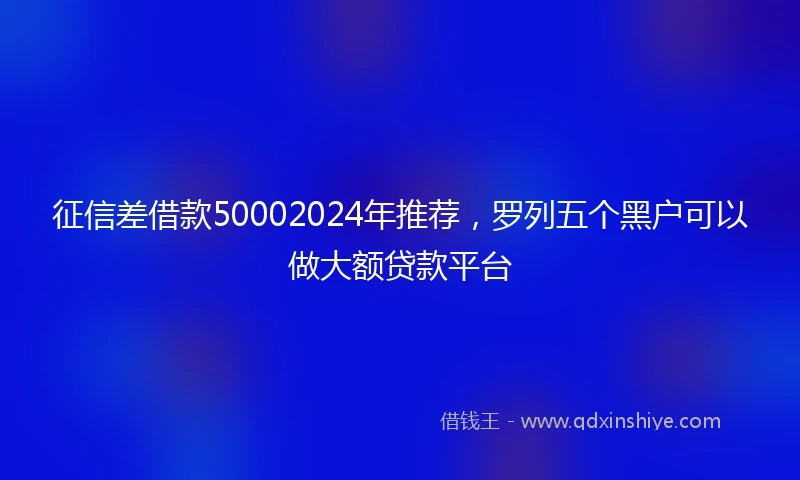 征信差借款50002024年推荐，罗列五个黑户可以做大额贷款平台