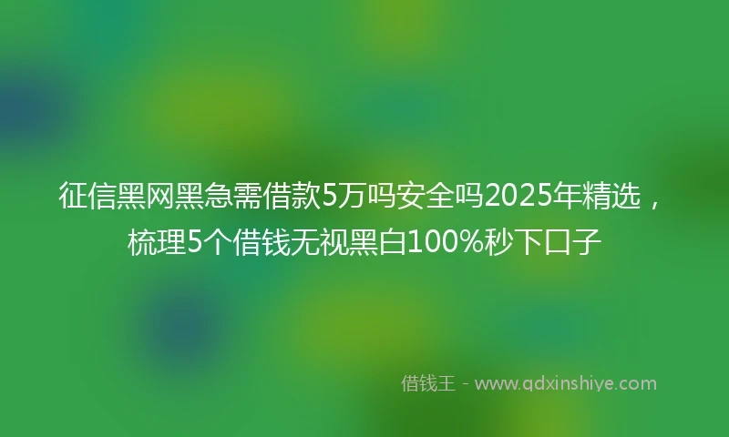 征信黑网黑急需借款5万吗安全吗2025年精选，梳理5个借钱无视黑白100%秒下口子