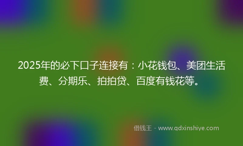 2025年的必下口子连接有：小花钱包、美团生活费、分期乐、拍拍贷、百度有钱花等。