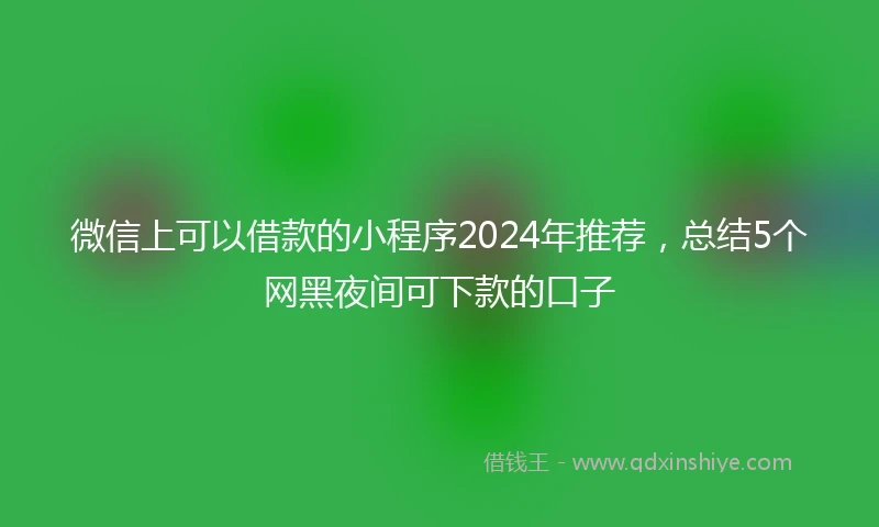 微信上可以借款的小程序2024年推荐，总结5个网黑夜间可下款的口子