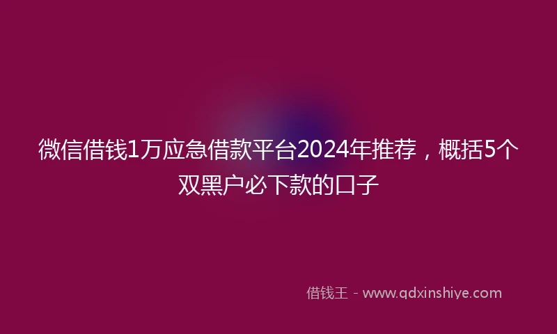 微信借钱1万应急借款平台2024年推荐，概括5个双黑户必下款的口子