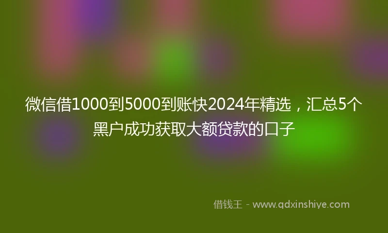 微信借1000到5000到账快2024年精选，汇总5个黑户成功获取大额贷款的口子