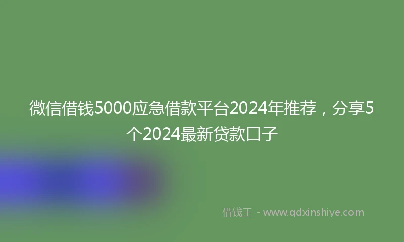 微信借钱5000应急借款平台2024年推荐，分享5个2024最新贷款口子