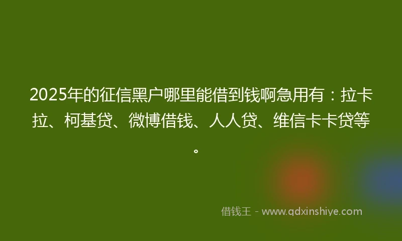 2025年的征信黑户哪里能借到钱啊急用有：拉卡拉、柯基贷、微博借钱、人人贷、维信卡卡贷等。