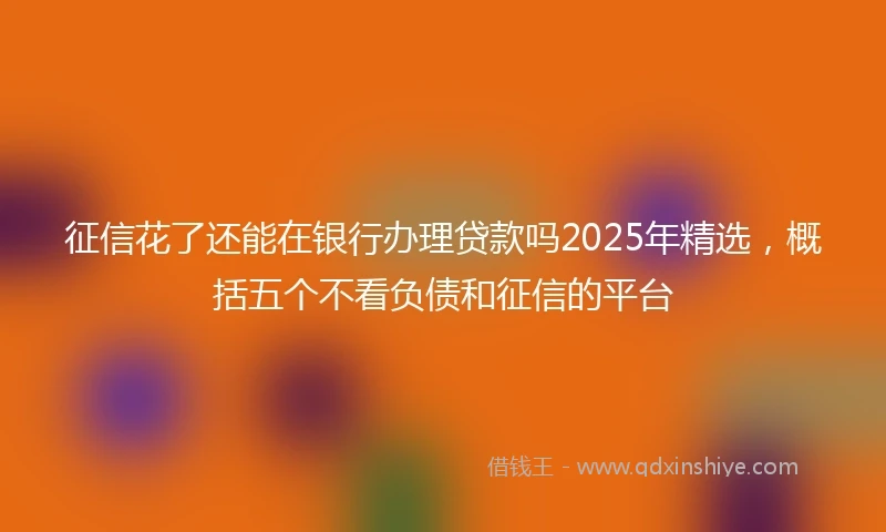 征信花了还能在银行办理贷款吗2025年精选，概括五个不看负债和征信的平台
