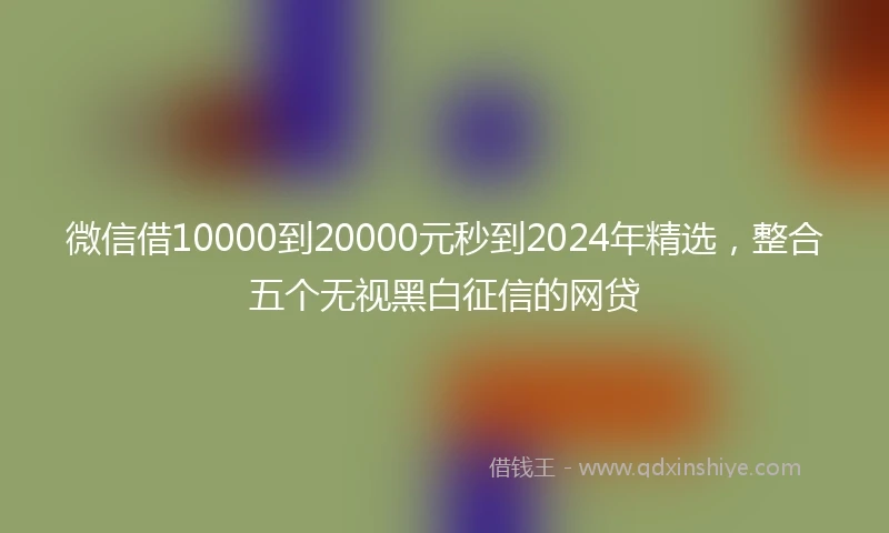 微信借10000到20000元秒到2024年精选，整合五个无视黑白征信的网贷