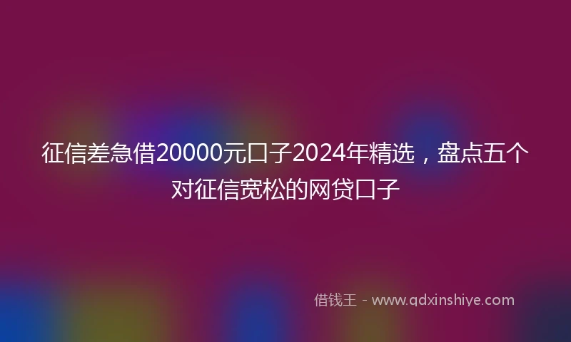征信差急借20000元口子2024年精选，盘点五个对征信宽松的网贷口子