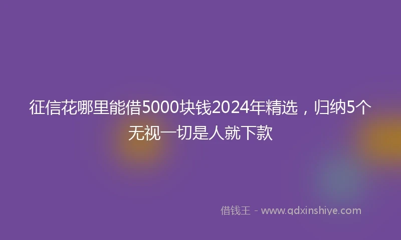 征信花哪里能借5000块钱2024年精选，归纳5个无视一切是人就下款