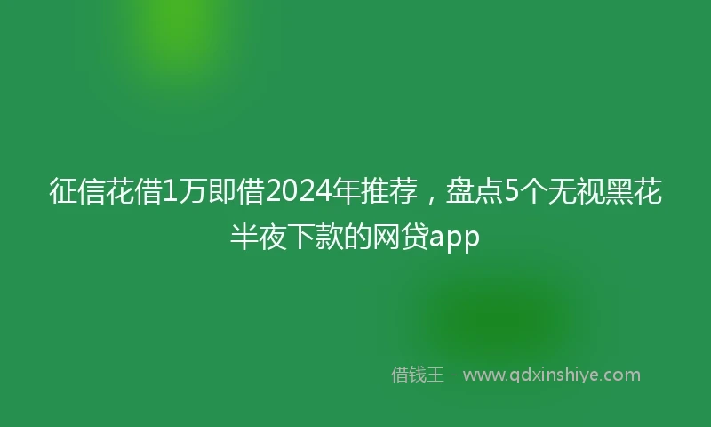 征信花借1万即借2024年推荐，盘点5个无视黑花半夜下款的网贷app