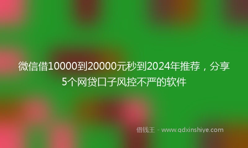 微信借10000到20000元秒到2024年推荐，分享5个网贷口子风控不严的软件