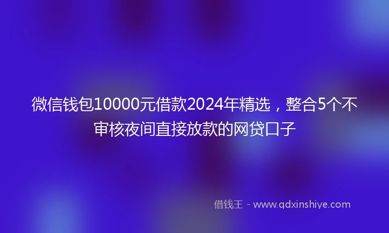 微信钱包10000元借款2024年精选，整合5个不审核夜间直接放款的网贷口子