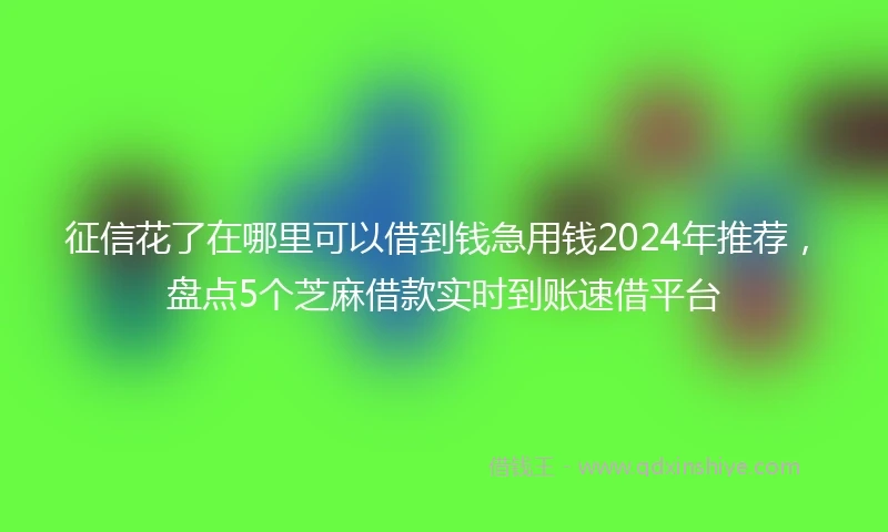 征信花了在哪里可以借到钱急用钱2024年推荐，盘点5个芝麻借款实时到账速借平台