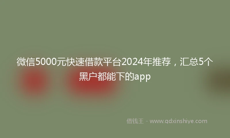 微信5000元快速借款平台2024年推荐，汇总5个黑户都能下的app