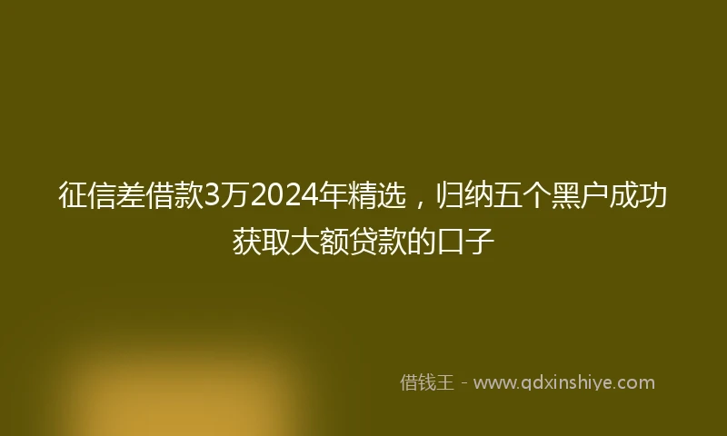 征信差借款3万2024年精选，归纳五个黑户成功获取大额贷款的口子