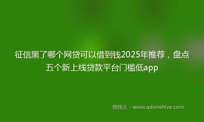 征信黑了哪个网贷可以借到钱2025年推荐，盘点五个新上线贷款平台门槛低app