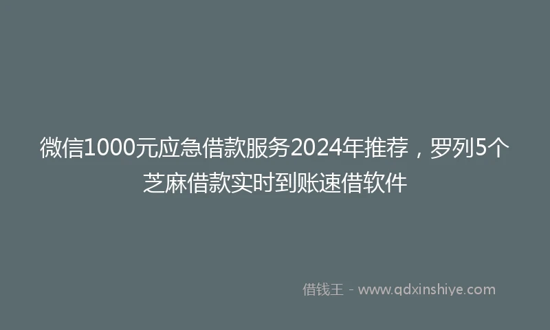 微信1000元应急借款服务2024年推荐，罗列5个芝麻借款实时到账速借软件