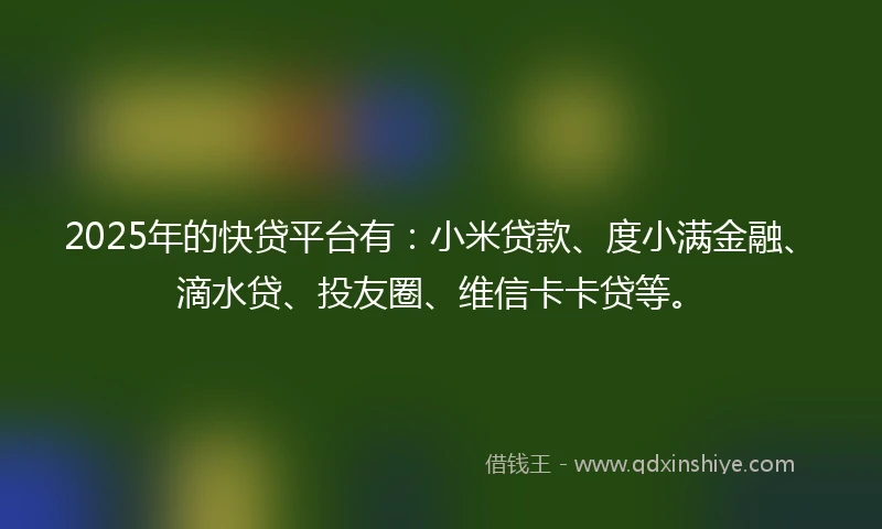 2025年的快贷平台有：小米贷款、度小满金融、滴水贷、投友圈、维信卡卡贷等。