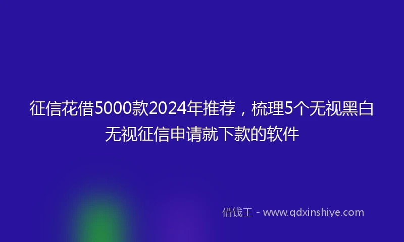 征信花借5000款2024年推荐，梳理5个无视黑白无视征信申请就下款的软件