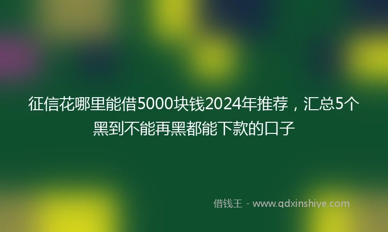 征信花哪里能借5000块钱2024年推荐，汇总5个黑到不能再黑都能下款的口子