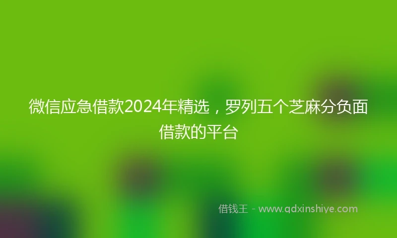 微信应急借款2024年精选，罗列五个芝麻分负面借款的平台
