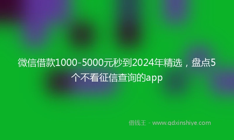 微信借款1000-5000元秒到2024年精选，盘点5个不看征信查询的app