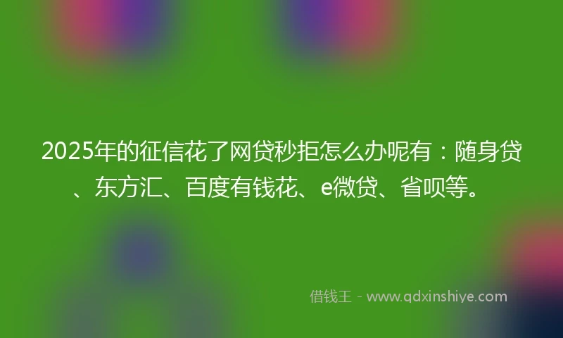 2025年的征信花了网贷秒拒怎么办呢有：随身贷、东方汇、百度有钱花、e微贷、省呗等。