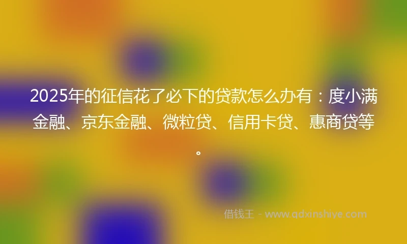 2025年的征信花了必下的贷款怎么办有：度小满金融、京东金融、微粒贷、信用卡贷、惠商贷等。