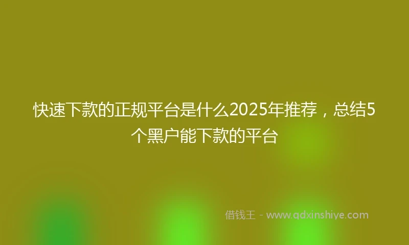 快速下款的正规平台是什么2025年推荐，总结5个黑户能下款的平台