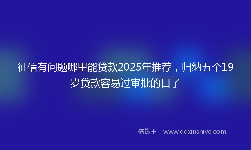 征信有问题哪里能贷款2025年推荐，归纳五个19岁贷款容易过审批的口子