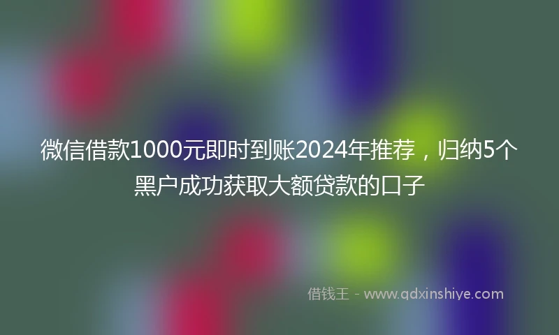 微信借款1000元即时到账2024年推荐，归纳5个黑户成功获取大额贷款的口子