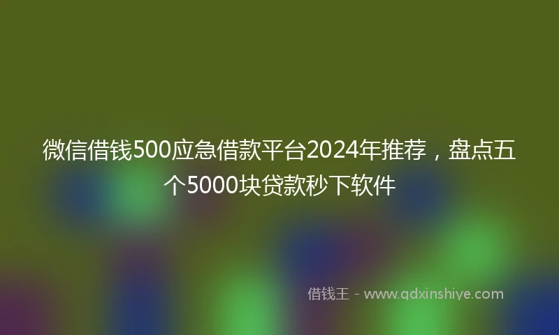 微信借钱500应急借款平台2024年推荐，盘点五个5000块贷款秒下软件
