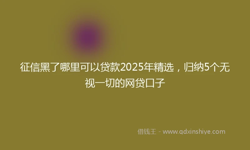 征信黑了哪里可以贷款2025年精选，归纳5个无视一切的网贷口子