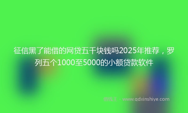 征信黑了能借的网贷五千块钱吗2025年推荐，罗列五个1000至5000的小额贷款软件